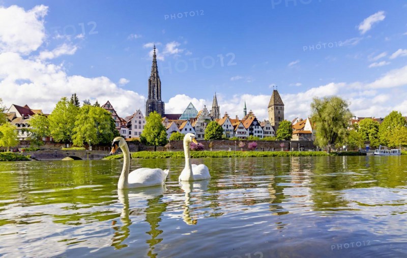 Danube bank with view of the historic old town
