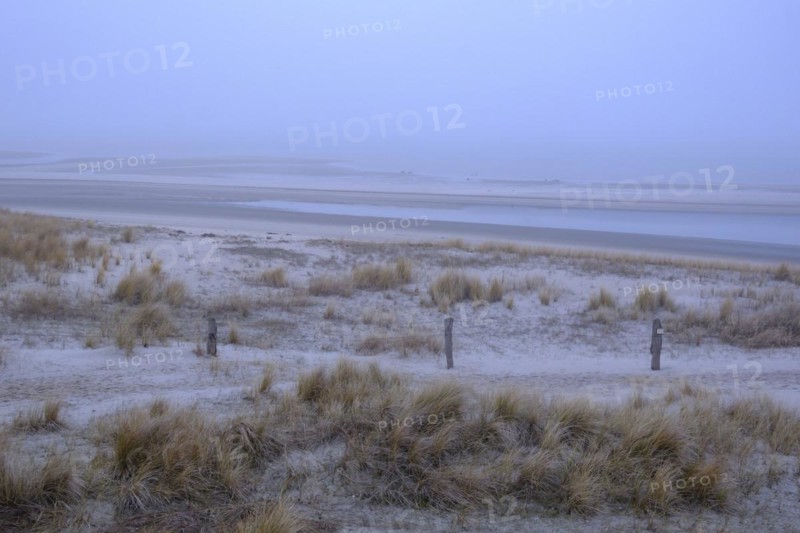 Wadden Sea National Park with fog