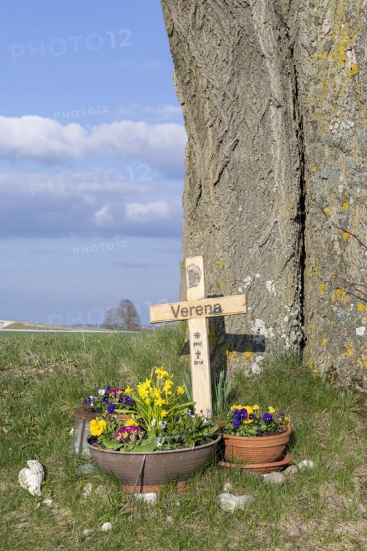 Wooden cross with flower bowls in memory of a victim of a traffic accident on a tree