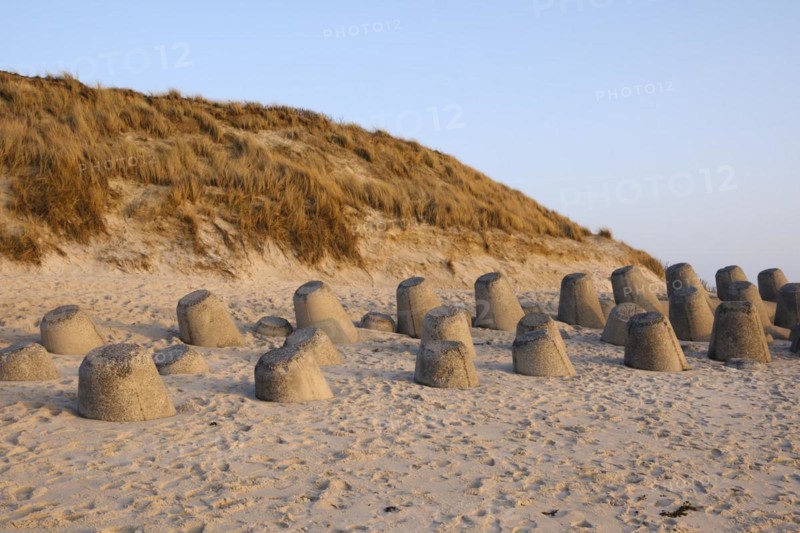 Tetrapods