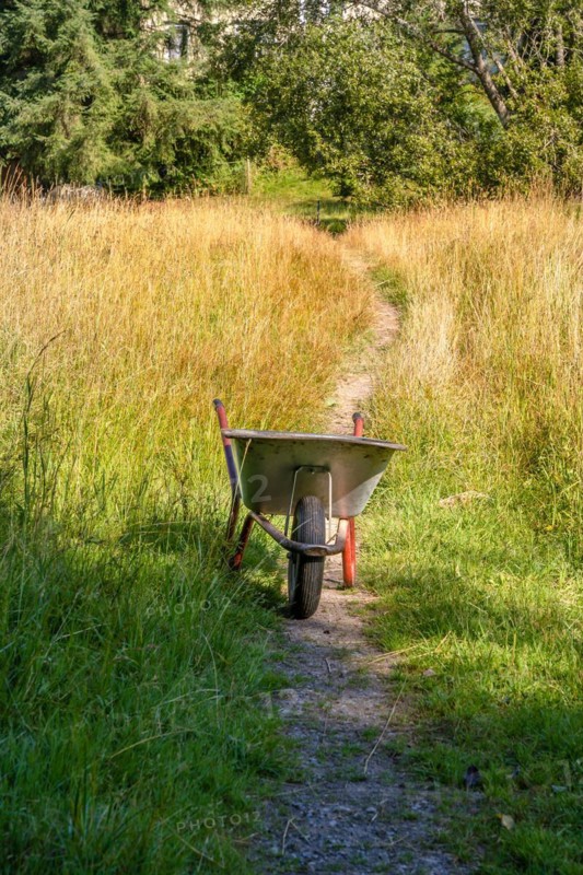 Wheelbarrow in the high grass on the hiking trail Sprollenhaeuser Hut