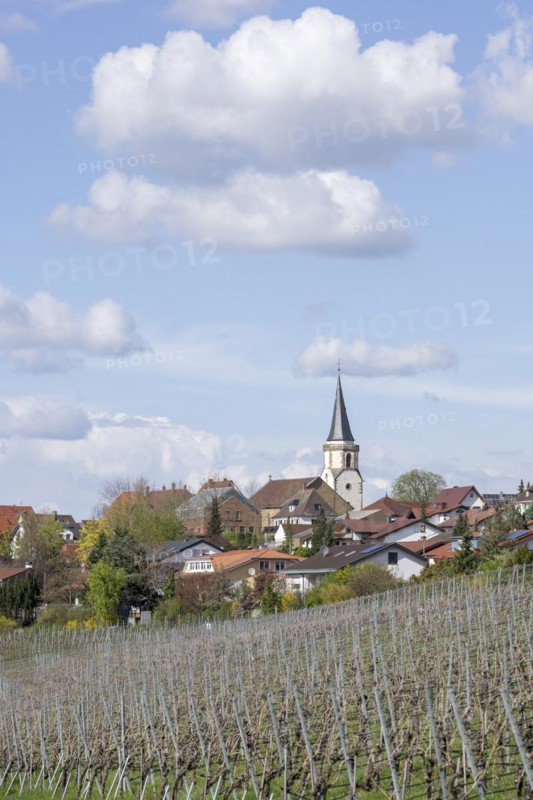 Village of Neckarwestheim with church tower