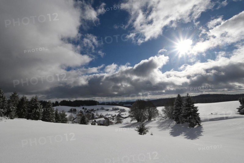 Winter landscape