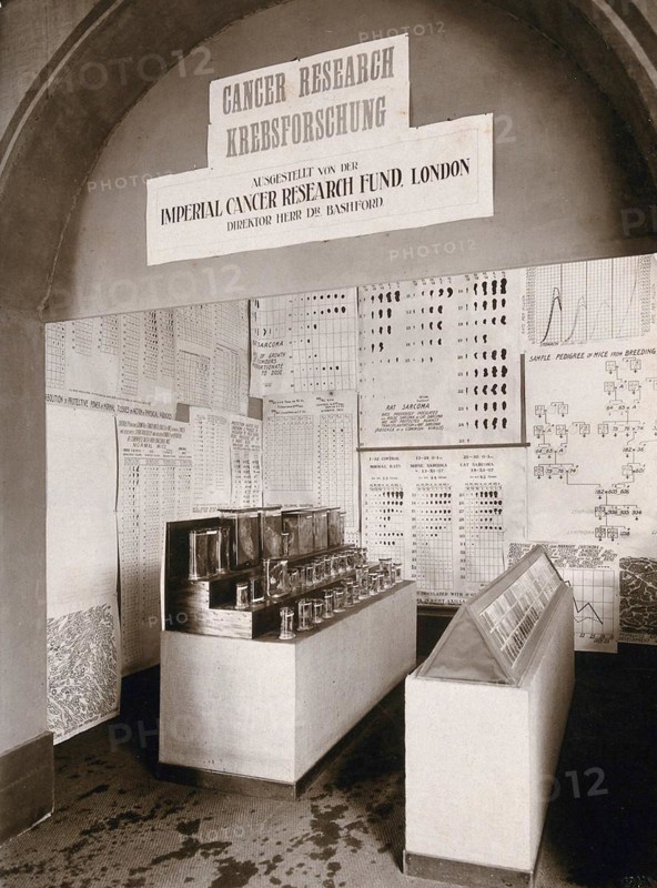 International Hygiene Exhibition
