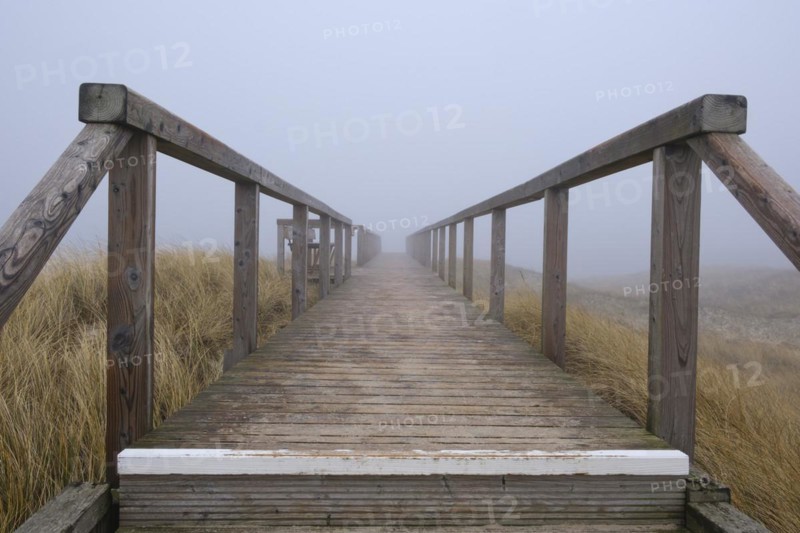 Wooden footbridge through the dunes