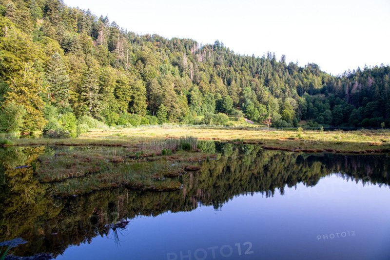 Nonnenmattweiher