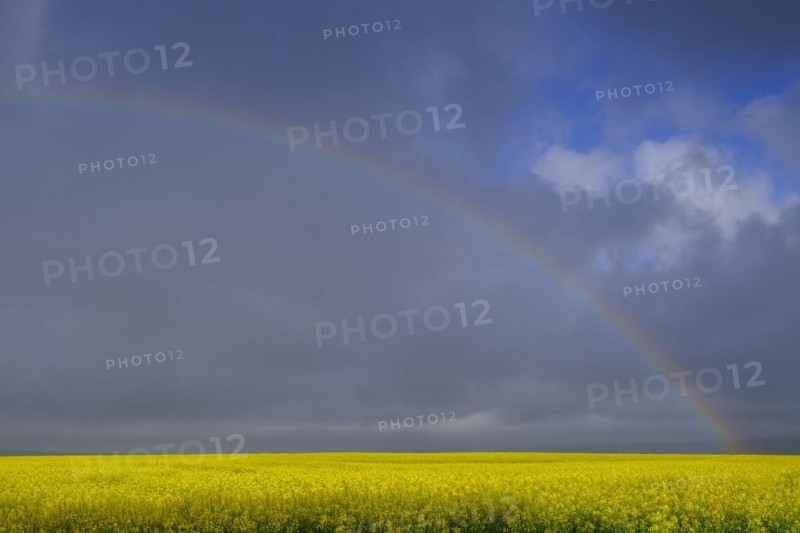 Rainbow near Heidelberg
