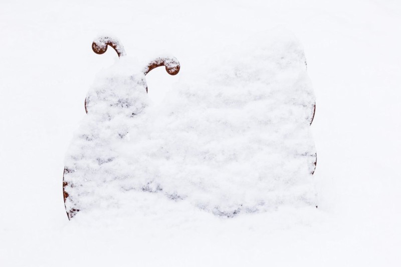 Snail made of tin in winter