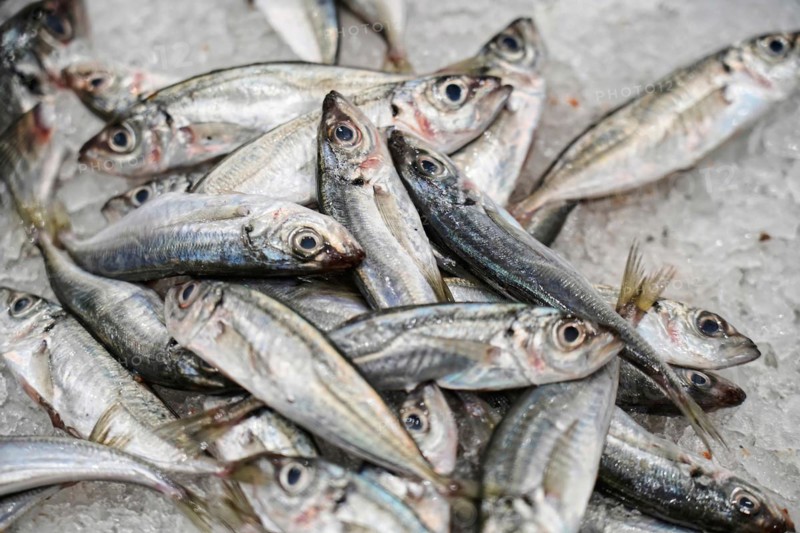 Seafood