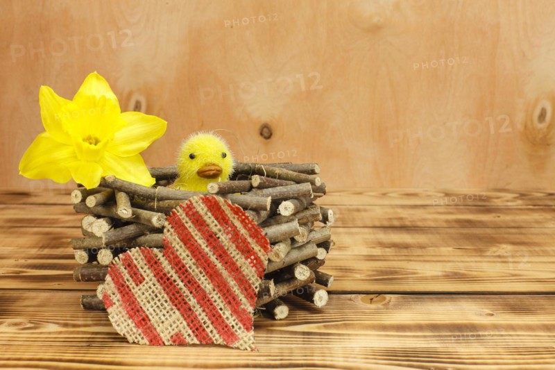 Chick in a wooden nest with a linen heart and daffodil blossom