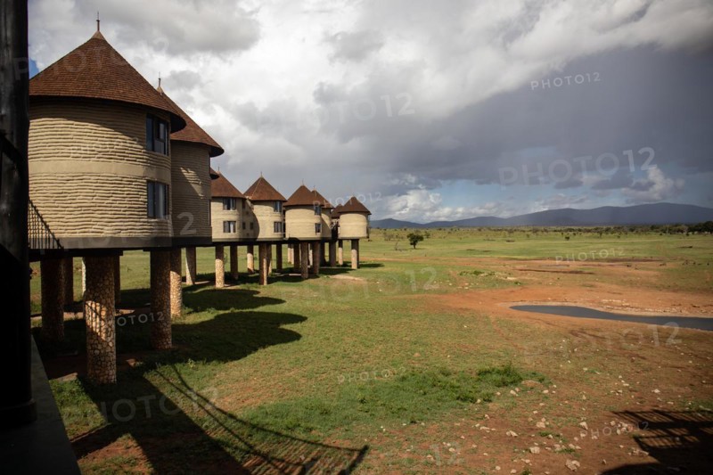 The famous Salt Lick Safari Lodge in the Taita Hills