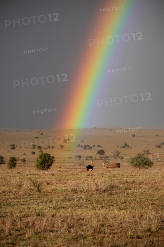 Beautiful wide landscape up to the horizomt and rainbows in the savannah of Taita Hills Wildlife Sanctuary