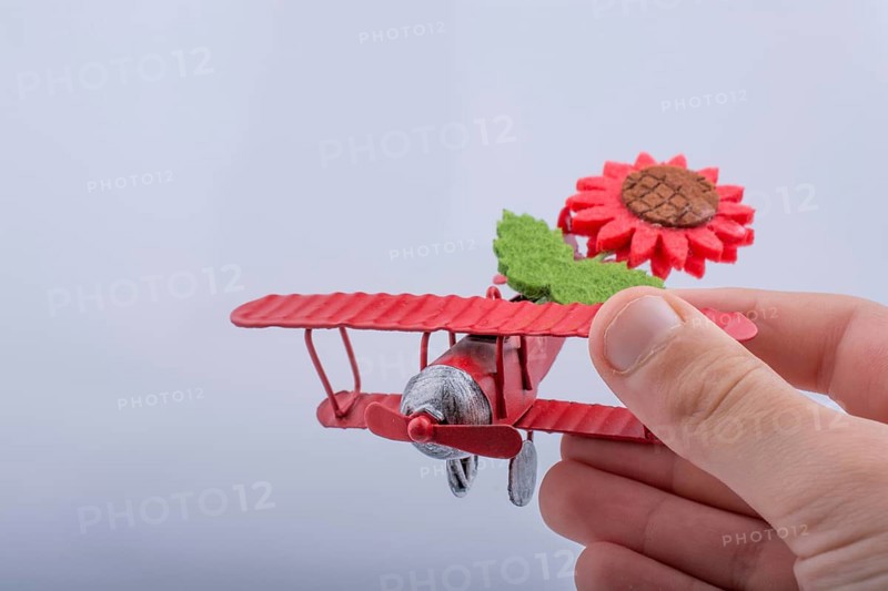 Child holding a little metal model airplane with flower in hand