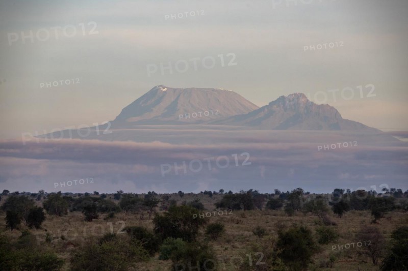 View on a safari