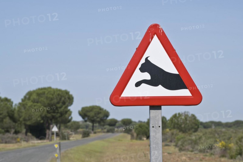 Warning sign lynx change