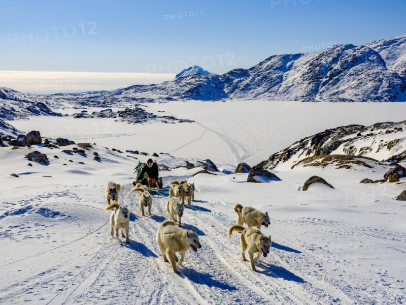 Inuit with his dog sled team