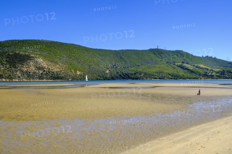 Sandy beach beach
