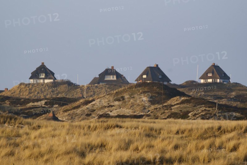 Houses with thatched roof in the dune landscape