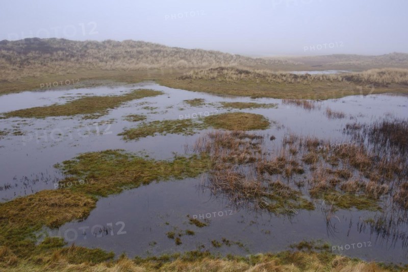 Wadden Sea National Park with fog