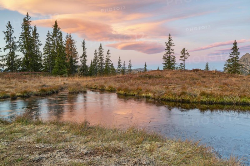 Autumn alpine pasture at sunrise