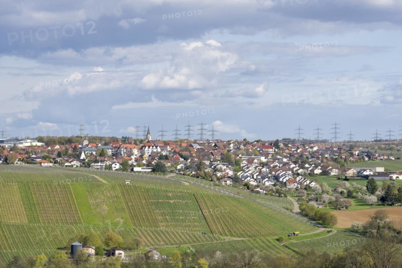 Village of Neckarwestheim