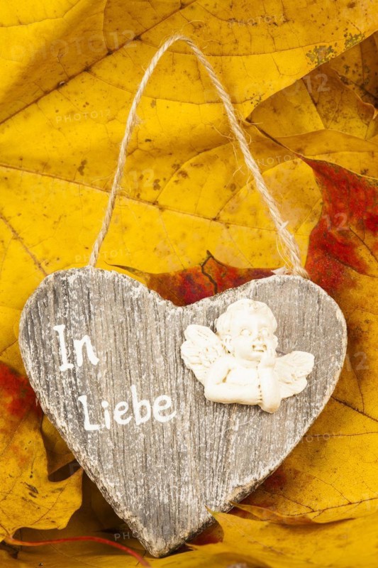 Wooden Heart on Autumn Leaves