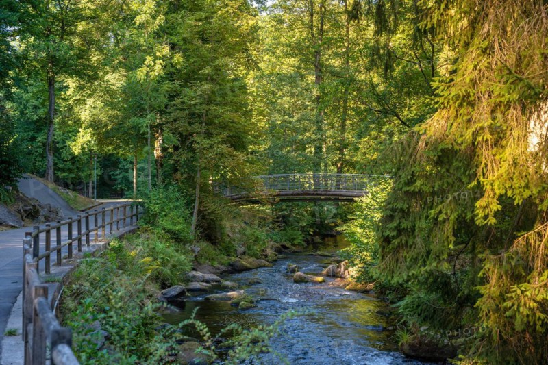 Course of the river Enz with bridge