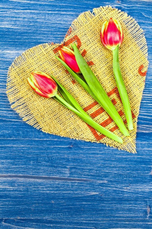 Three Tulips on Brown Linen Heart