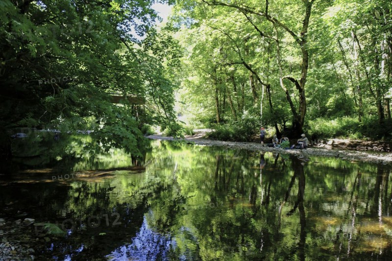 Summer in the Wutach Gorge