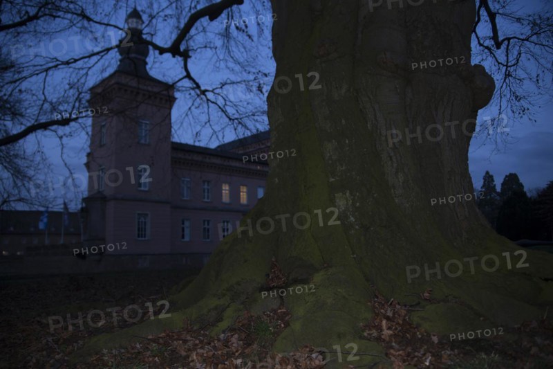 Schloss Gracht half hidden behind an old big tree at dusk