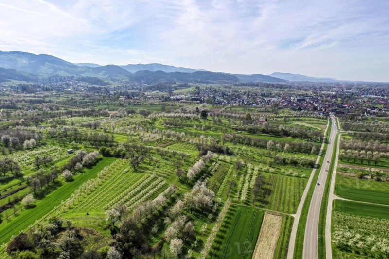 Spring in the Renchtal in the Ortenau