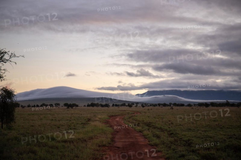 View on a safari
