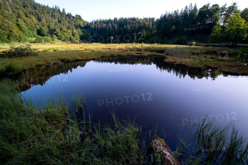 Nonnenmattweiher