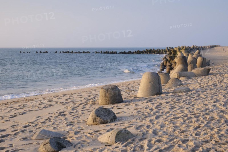 Tetrapods