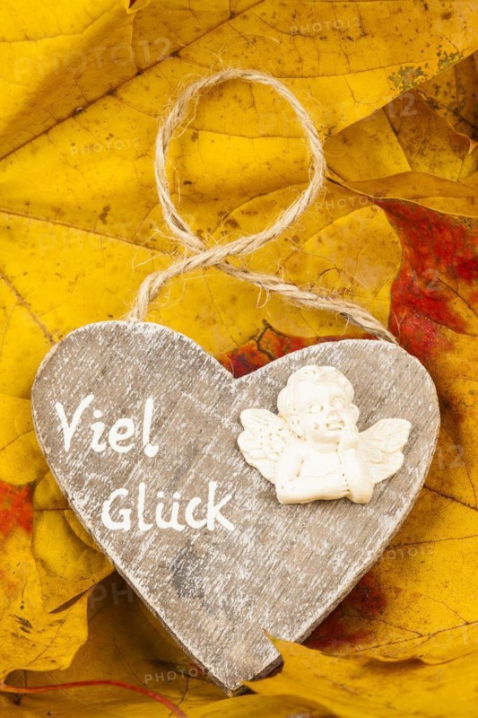 Wooden Heart on Autumn Leaves