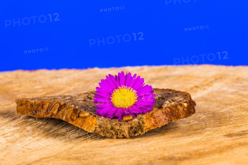 Bitten Slice of Finn Bread and Aster Blossom