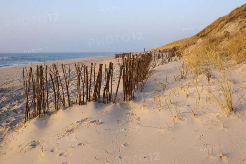 Sticks as a protective fence in front of the dunes