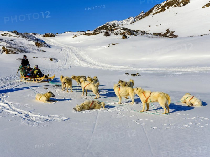 Inuit and two tourists with his dog sled team