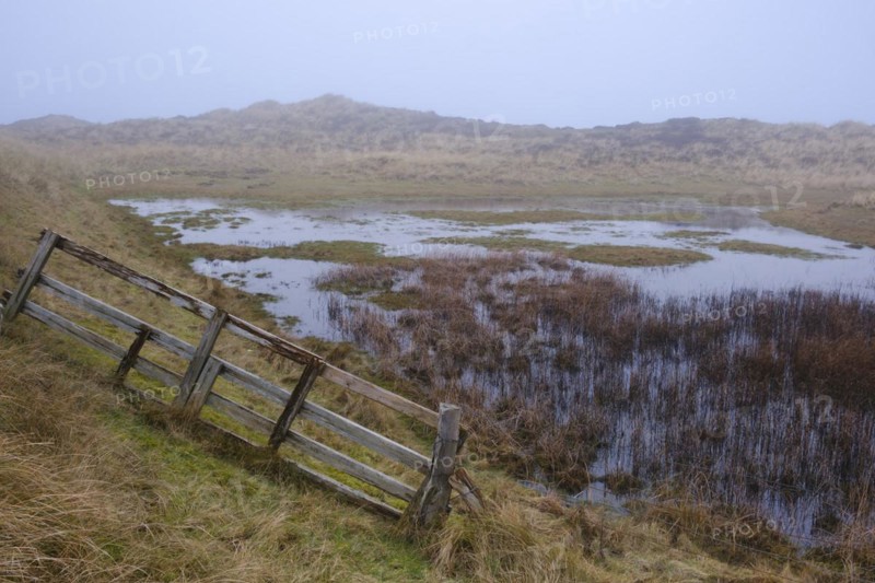 Wadden Sea National Park with fog