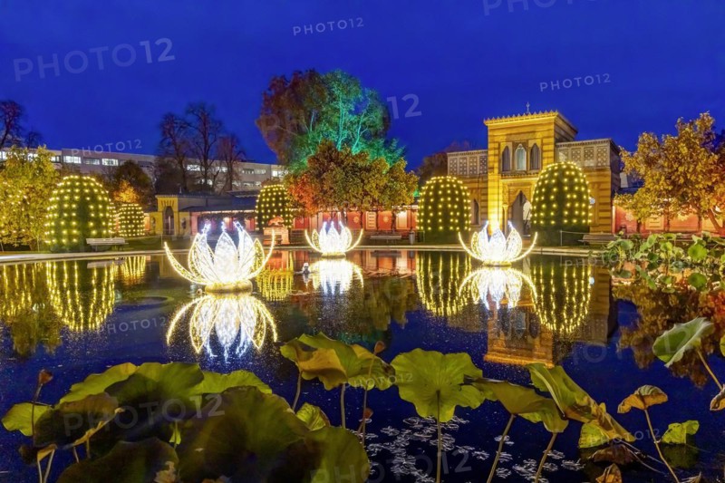 Christmas Garden