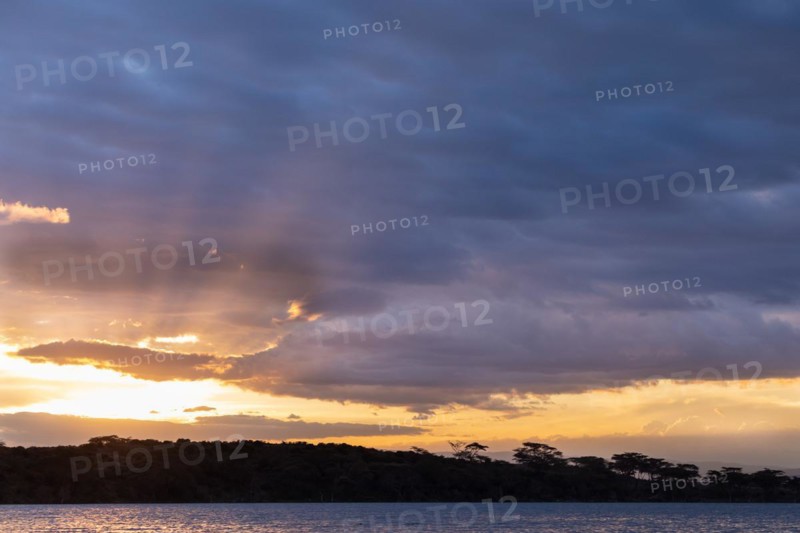 Sunbeams over a lake