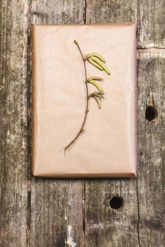 Hazelnut branch on wrapping paper