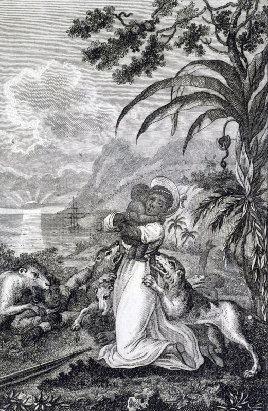 Revolt of the black slaves in the French colony of Saint-Domingue