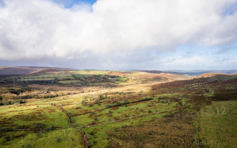 View over Emsworthy Mire from a drone