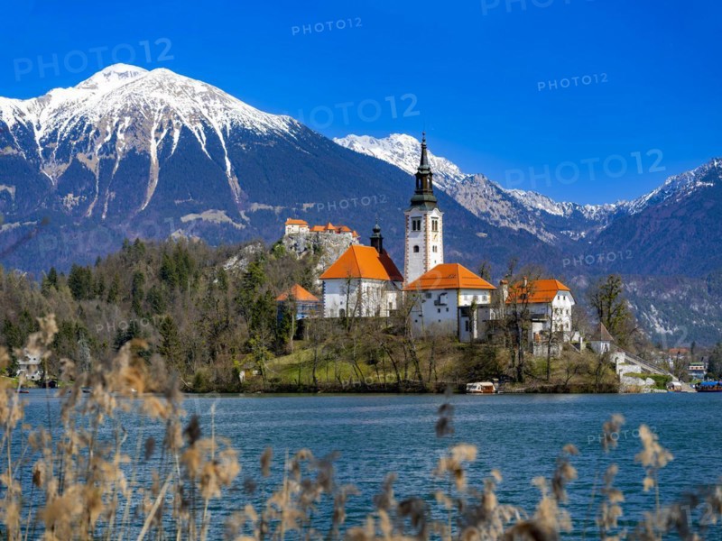 Bled Castle