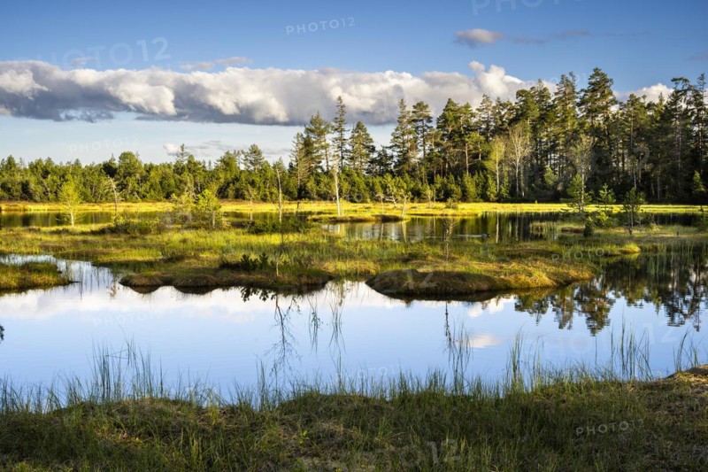 The Wildsee with its small islands in the Wildseemoor on a sunny day