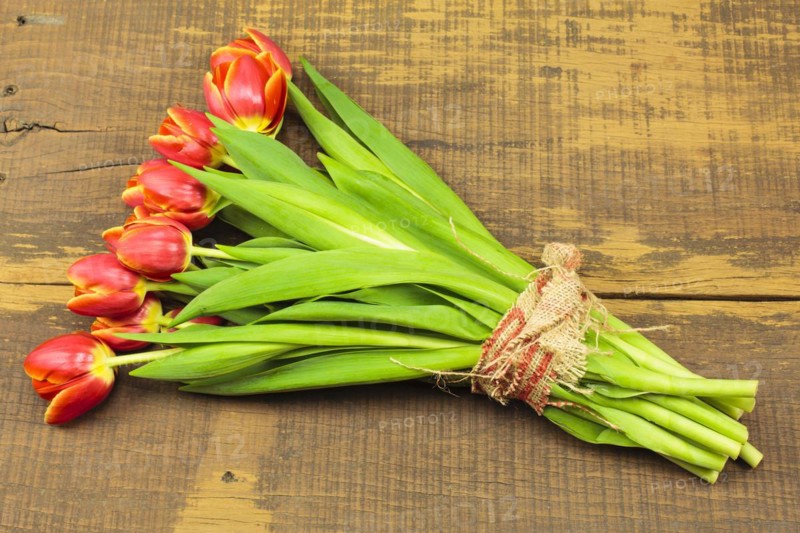 Bouquet of tulips on a wooden background