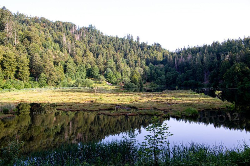 Nonnenmattweiher