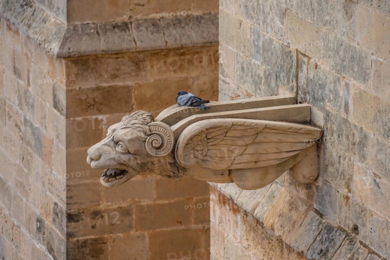 Architecture Detail
