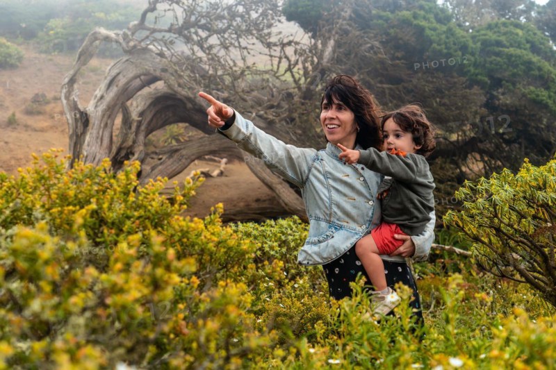 Mother and son looking at the flowers next to a Sabinar tree twisted by the wind of El Hierro and foggy. Canary Islands
